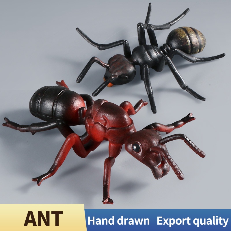 Simulação Sólida Modelo De Insetos Formiga Arthropod Números De Ação Meninas Presentes Cognitivos Brinquedos Infantis